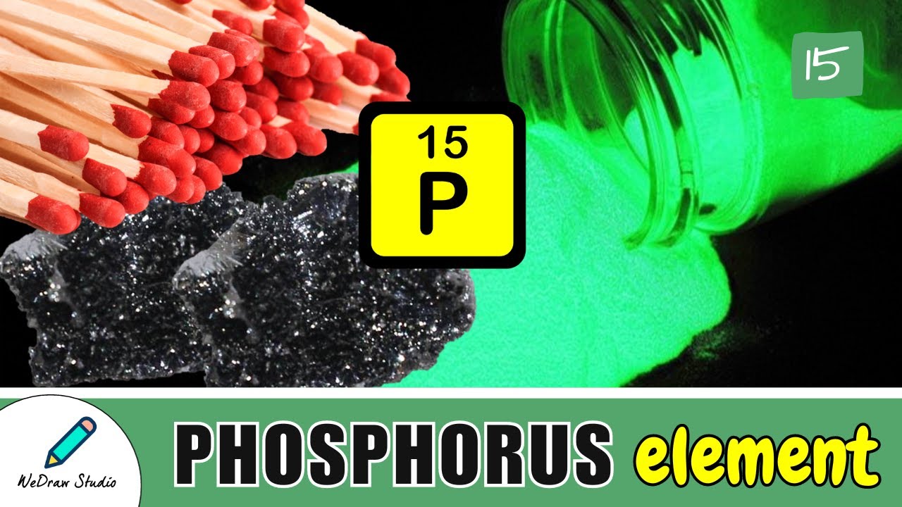 Phosphorus Chemical Element 🌟 - Periodic Table | Facts & Uses!