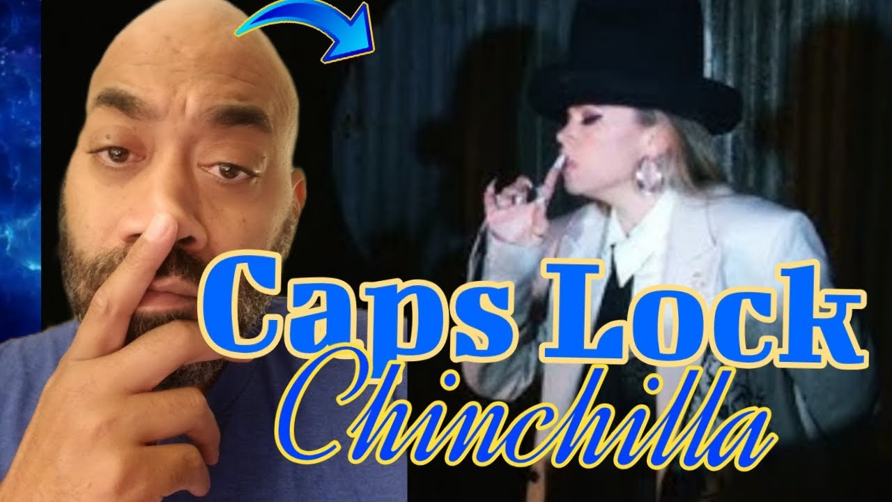 Chinchilla 