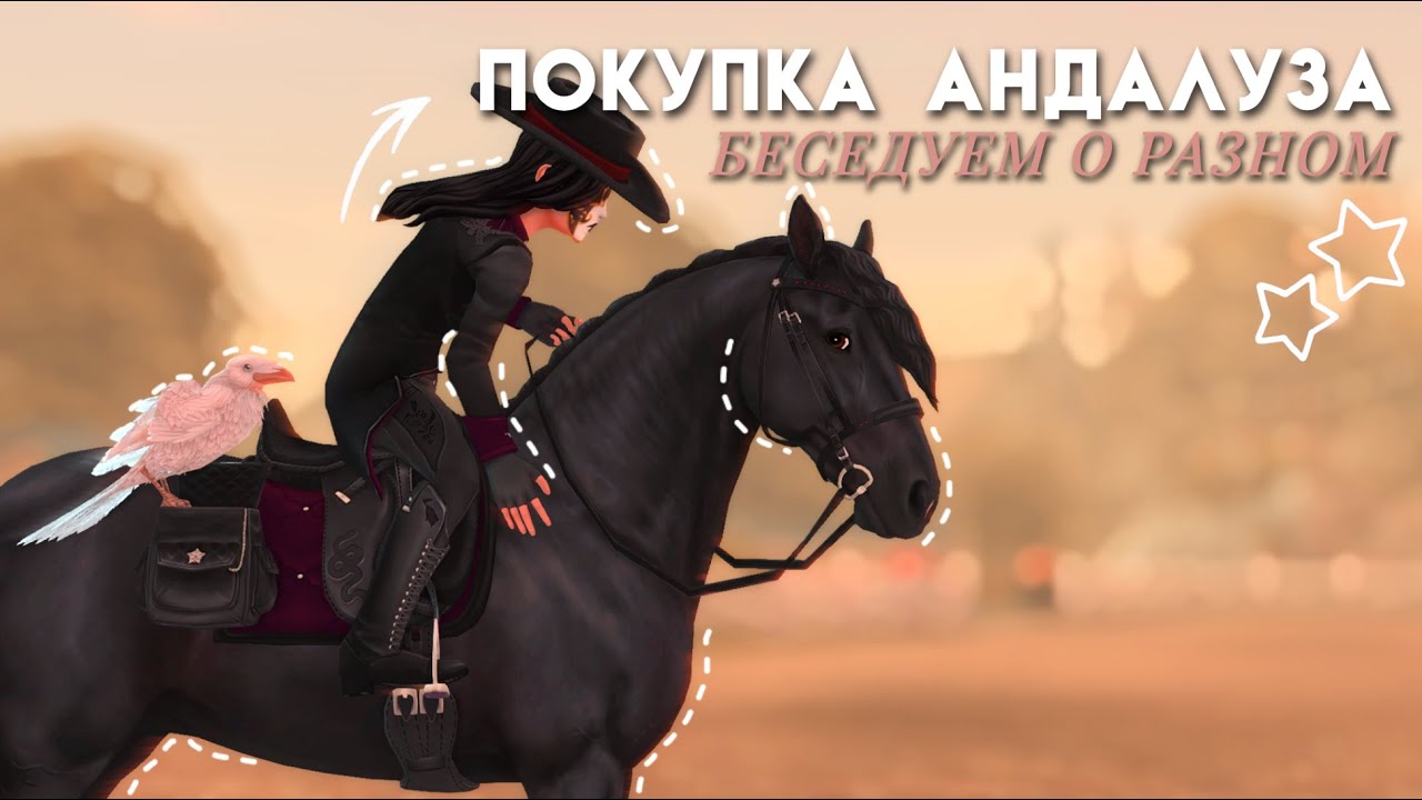 ПОКУПАЮ АНДАЛУЗА||БЕСЕДУЮ О РАЗНОМ||STAR STABLE ONLINE
