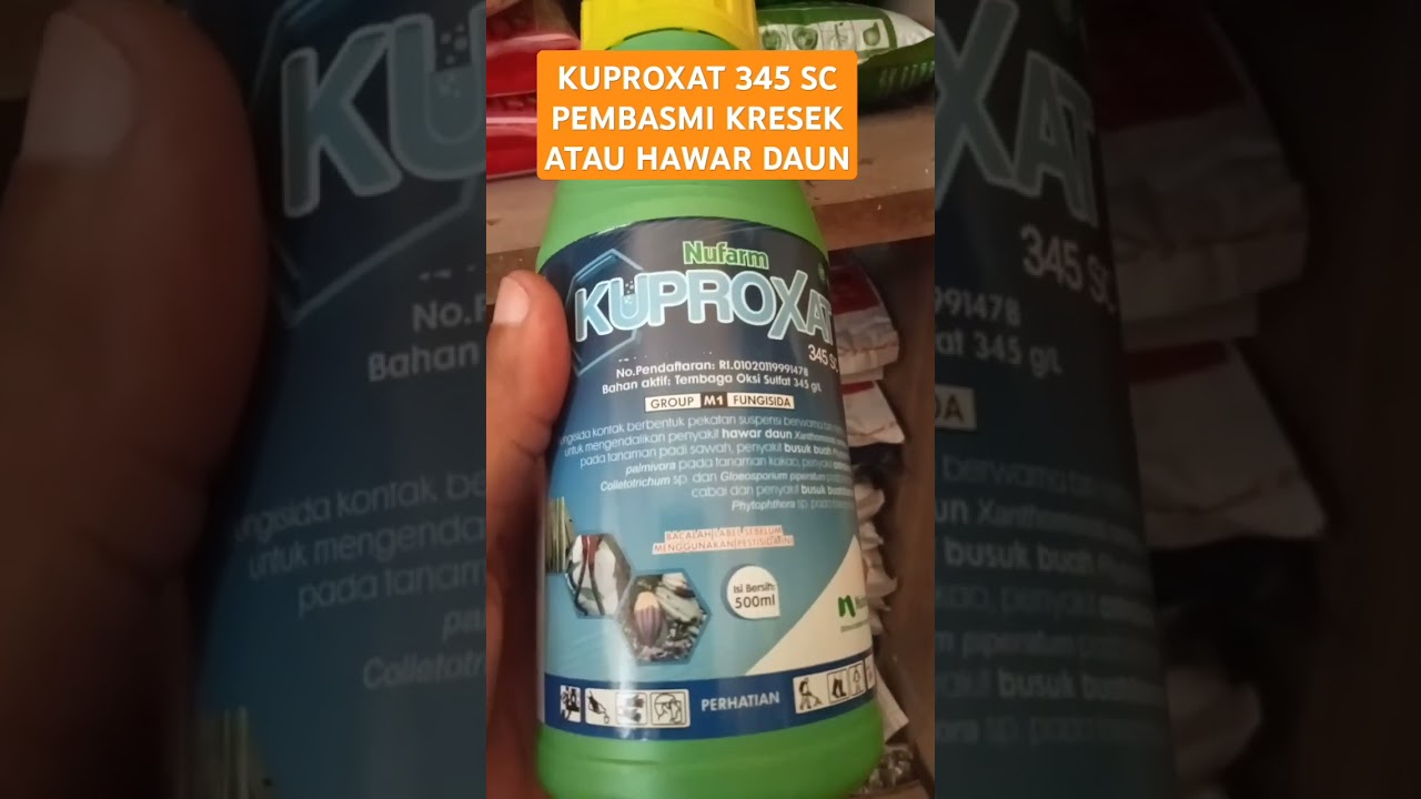 KUPROXAT PEMBASMI HAWAR DAUN ATAU KRESEK #petanimilenial #pertanian #kuproxat #hawardaun #kresek