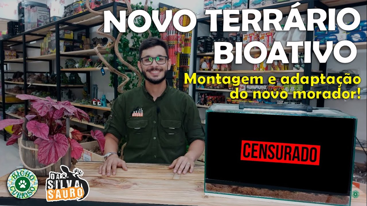 Montagem do Terrário - Anfíbios | Bicho Curioso & Da Silva Sauro
