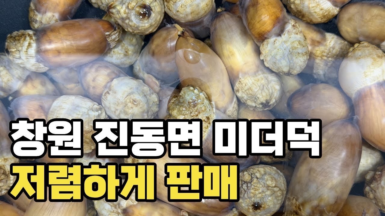 마산 진동 미더덕 제철! 바다향 그대로 저렴하게 판매