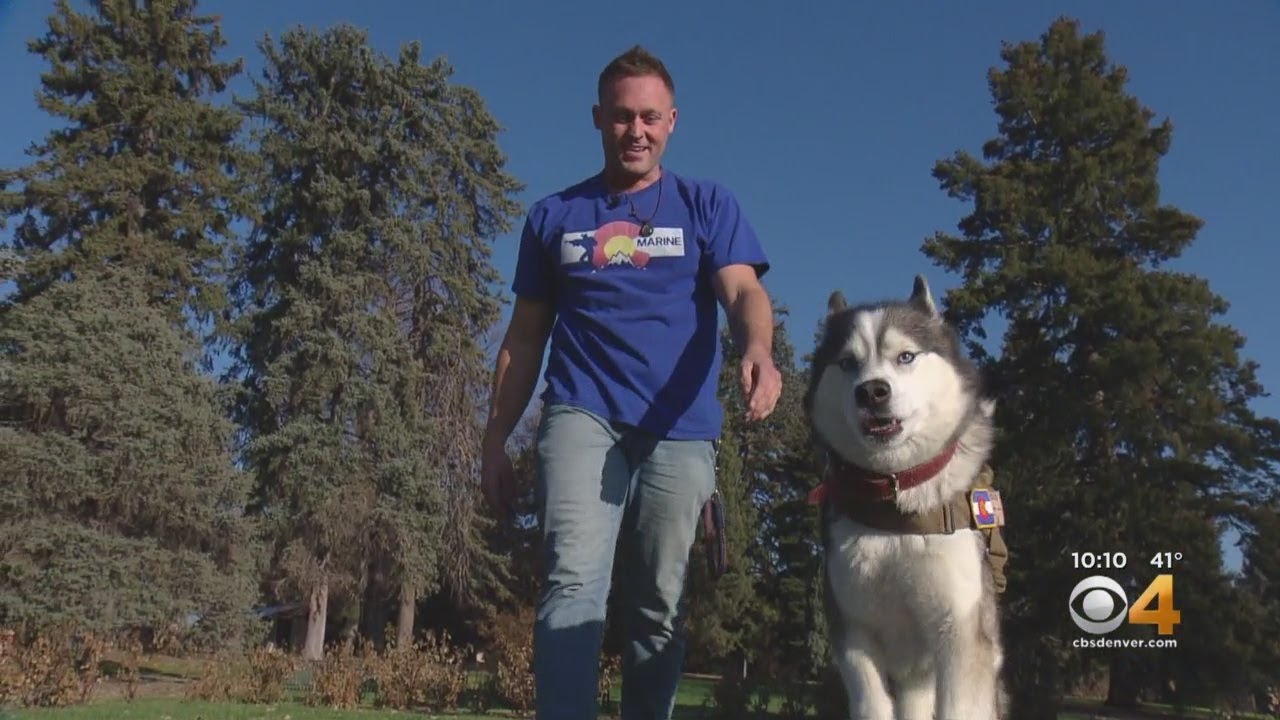'Heel The Heroes' Hopes PAWS ACT 2019 Passes Congress