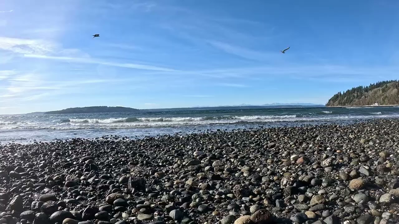 Beautiful sound of the wind and water 
