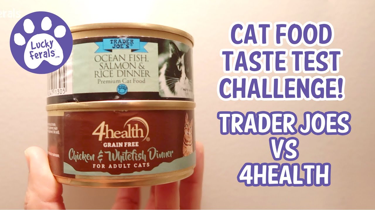 Cat Food Taste Test Challenge: Trader Joes vs 4Health