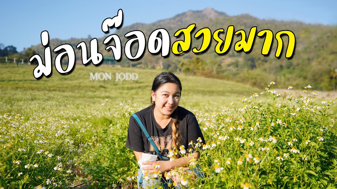ตะลุยม่อนจ๊อด รถมือสองของวินเทจเก่าเก็บเพียบ! I กู๊ดเดย์ เชียงใหม่