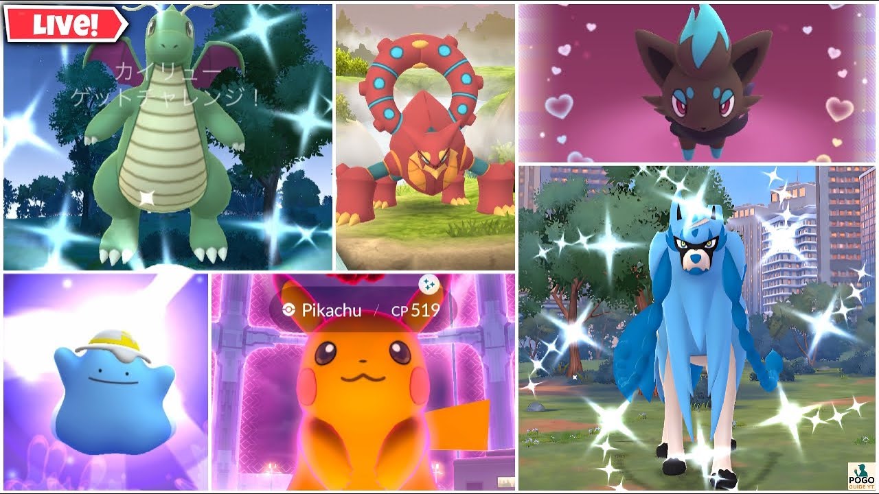 Hunting Shiny Costume BG Ditto & Zorua | Grinding For Volcanion | PvP & Trades | Pokémon GO LIVE