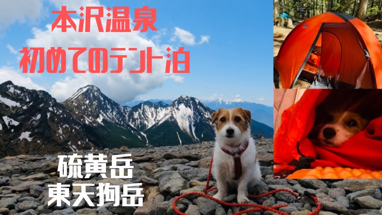 犬と山でテント泊 八ヶ岳 本沢温泉 / 犬連れ登山 硫黄岳 東天狗岳/ hike and stay the night in the mountain with dog in Japan