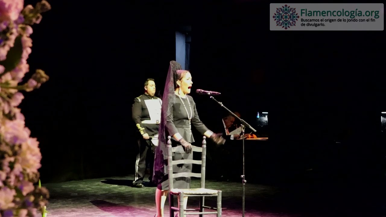 #Flamencología