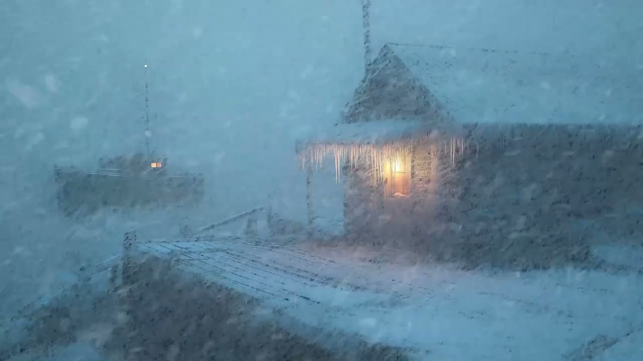 Extreme Winter Blizzard Wind Sounds | Powerful Snowstorm Ambience for Sleeping & Deep Sleep