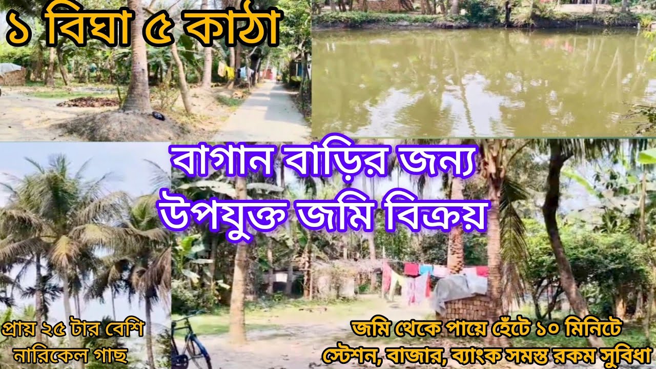[278] বাগান বাড়ির জন্য ১ বিঘা ৫ কাঠা জমি বিক্রয় | নারকেল গাছ ২৫-৩০ টি | স্টেশন ১০-১২ মিনিট | 