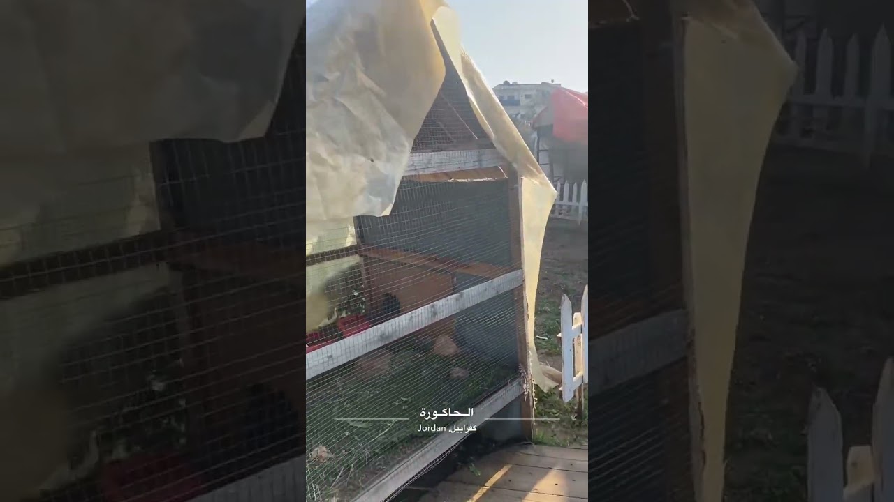 مطاعم الأردن 🇯🇴 اربد مطعم الحاكورة مزرعة ومطعم