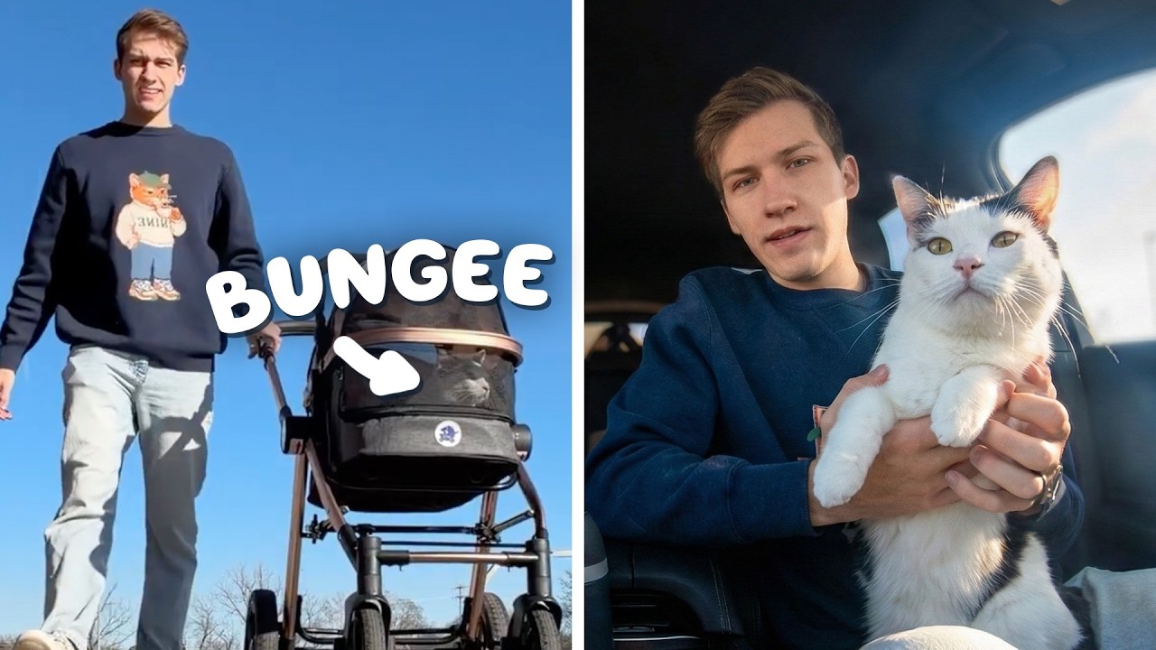 I Spent the Day with a Shelter Cat and Spoiled Him 