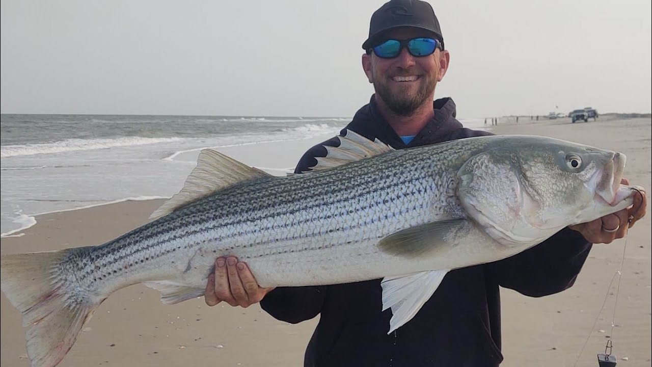 Surf Fishing, Assateague Island - Striper