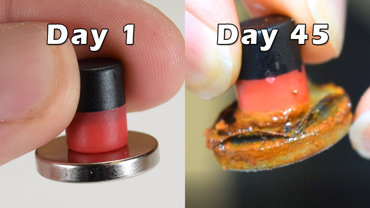 Magnet Rust - Salt Water Corrosion Experiment & Time Lapse