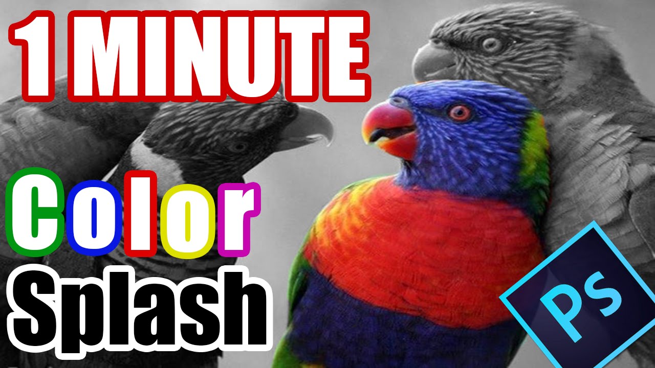 Урок по Photoshop CC: как раскрасить брызги &mdash; частично чёрно-белые (краткий урок)