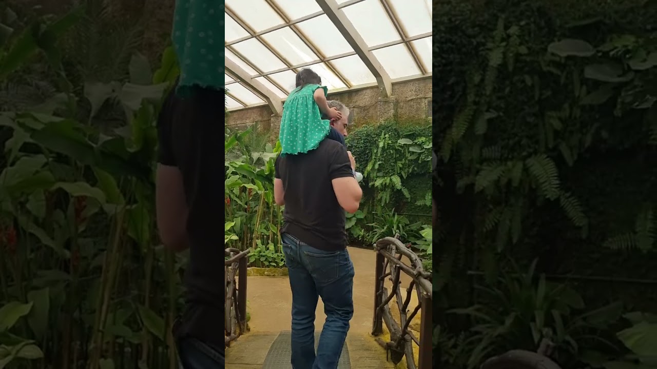 Mariposa Garden in Malaga 