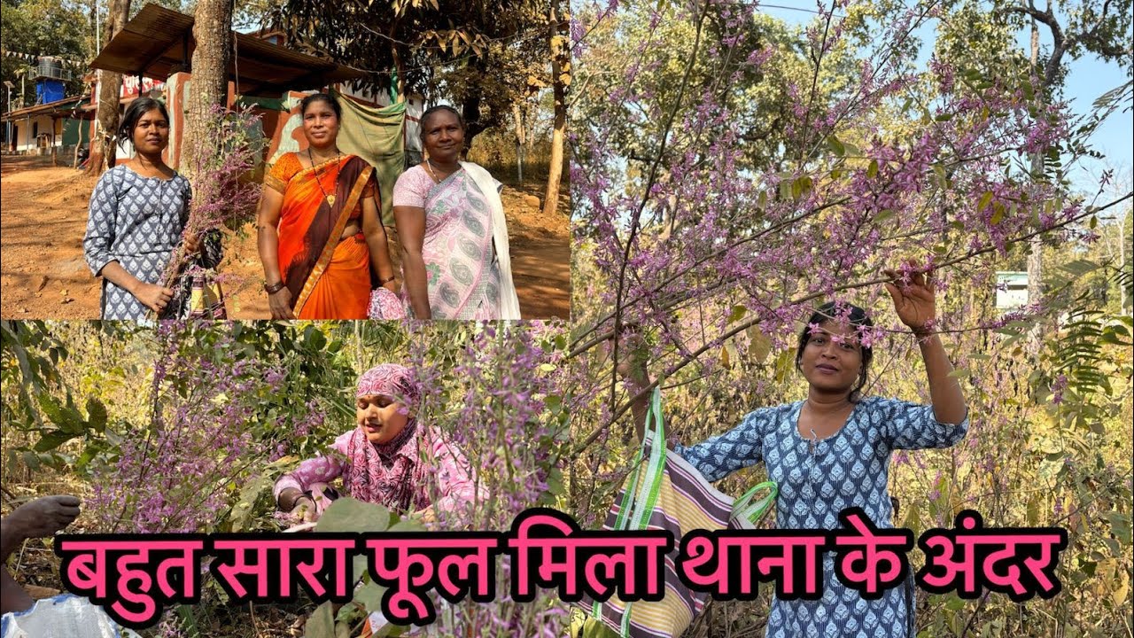 Khibiri fhool Todne aaye Bharnda Thana//Family vlog Shashi minj