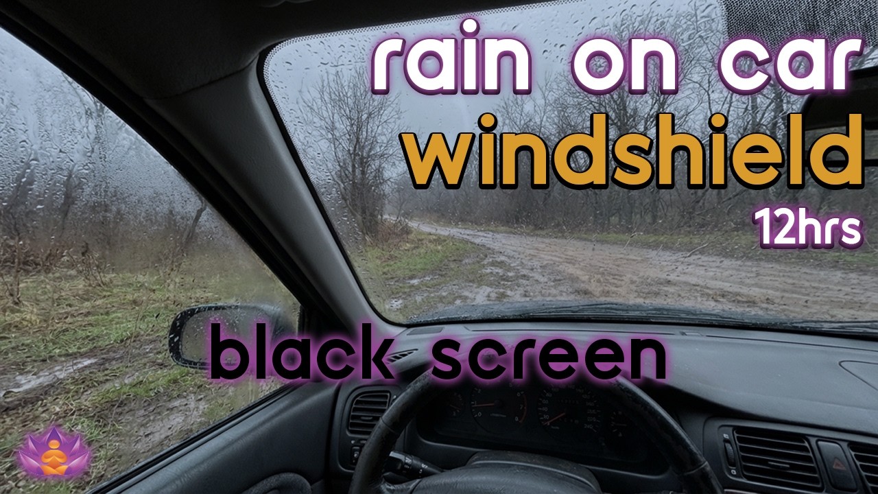 [Black Screen] Sleeping in Parked Car | Rain on Car Windshield &ndash; No Thunder | Sleep Rain Sounds