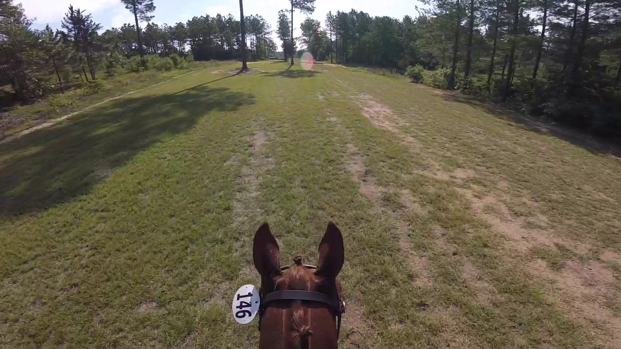XC Helmet Cam: Sharp Decision (Training | 2018 Stable View Horse Trials)