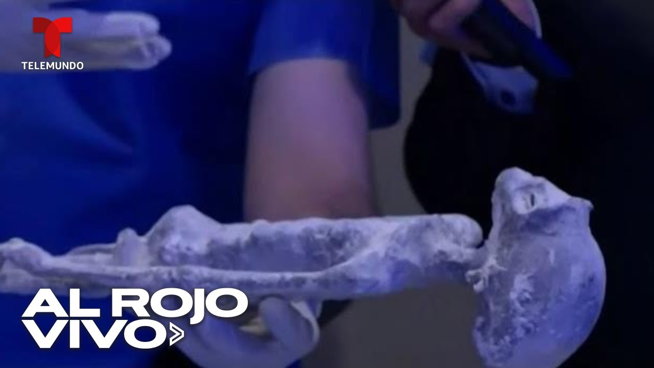 Restos de presuntos extraterrestres fueron sometidos a pruebas de laboratorio