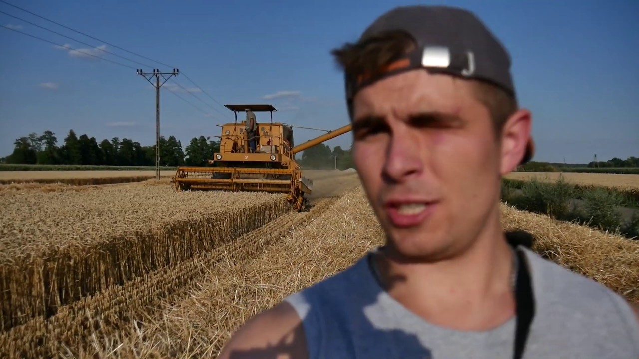 Żniwa 2019_**WIELKOPOLSKA EKIPA**_VLOG_**Bizon w akcji** Pszenica||Pszenżyto