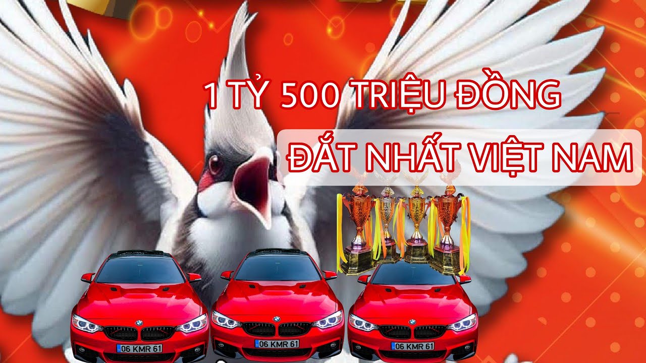 Hồ sơ chiến binh - chú chim chào mào đắt nhất việt nam vô địch ô tô và vô số xe máy