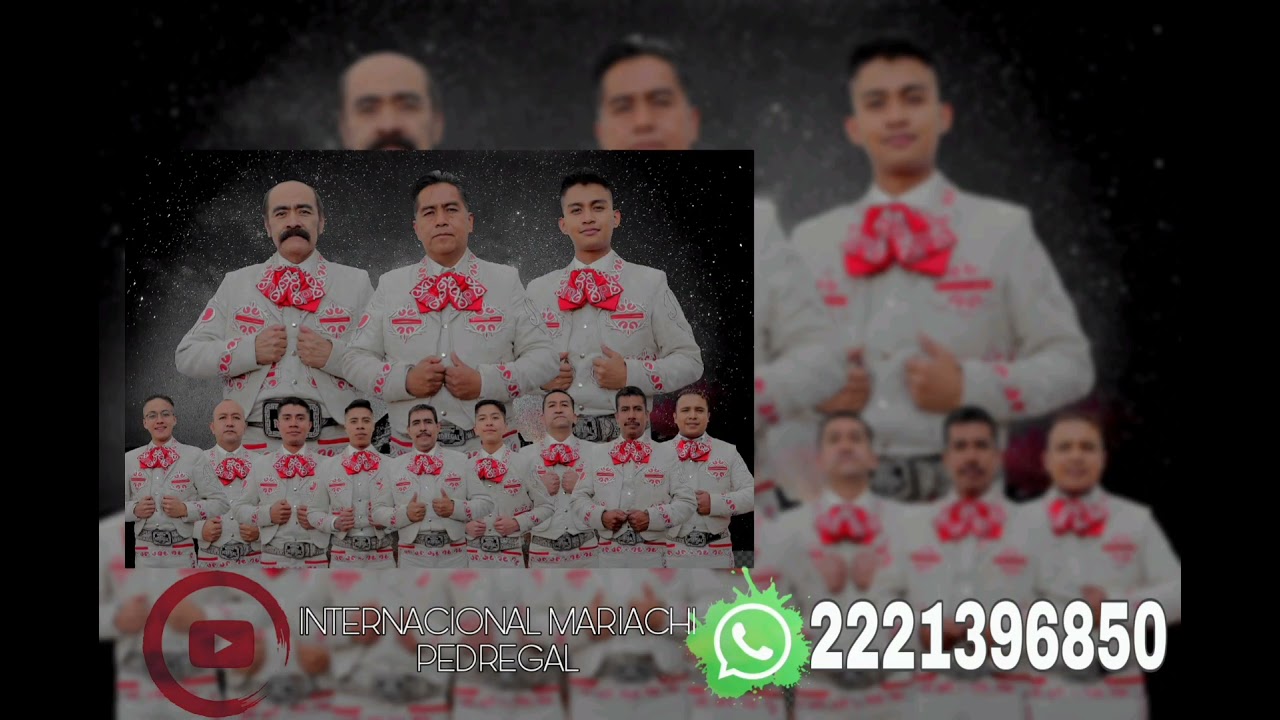 DANZA DE LAS FLORES MARIACHI PEDREGAL