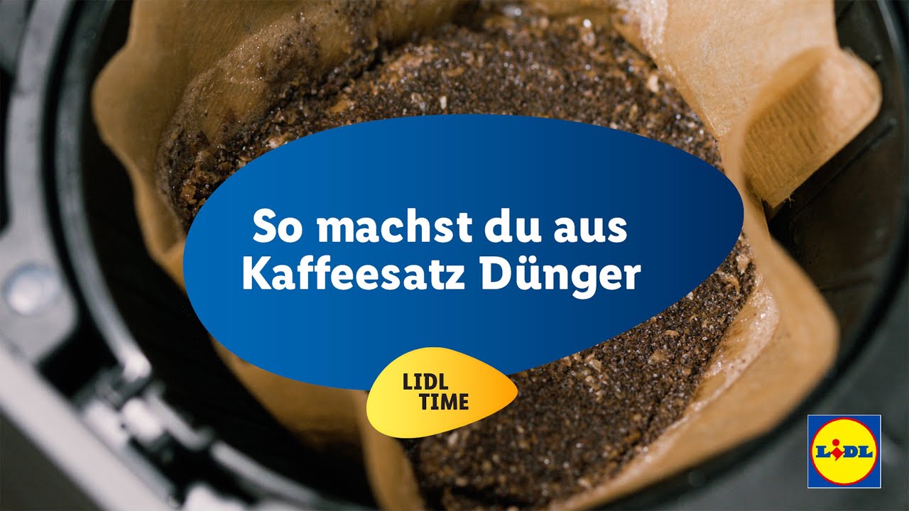 Mit kaffeesatz d&uuml;ngen: So machst du aus Kaffeesatz D&uuml;nger | Lidl Time