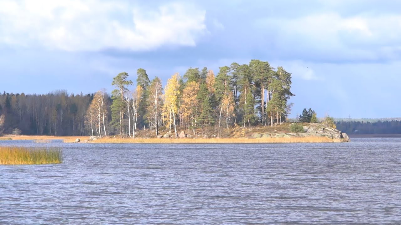 Видеолекция 