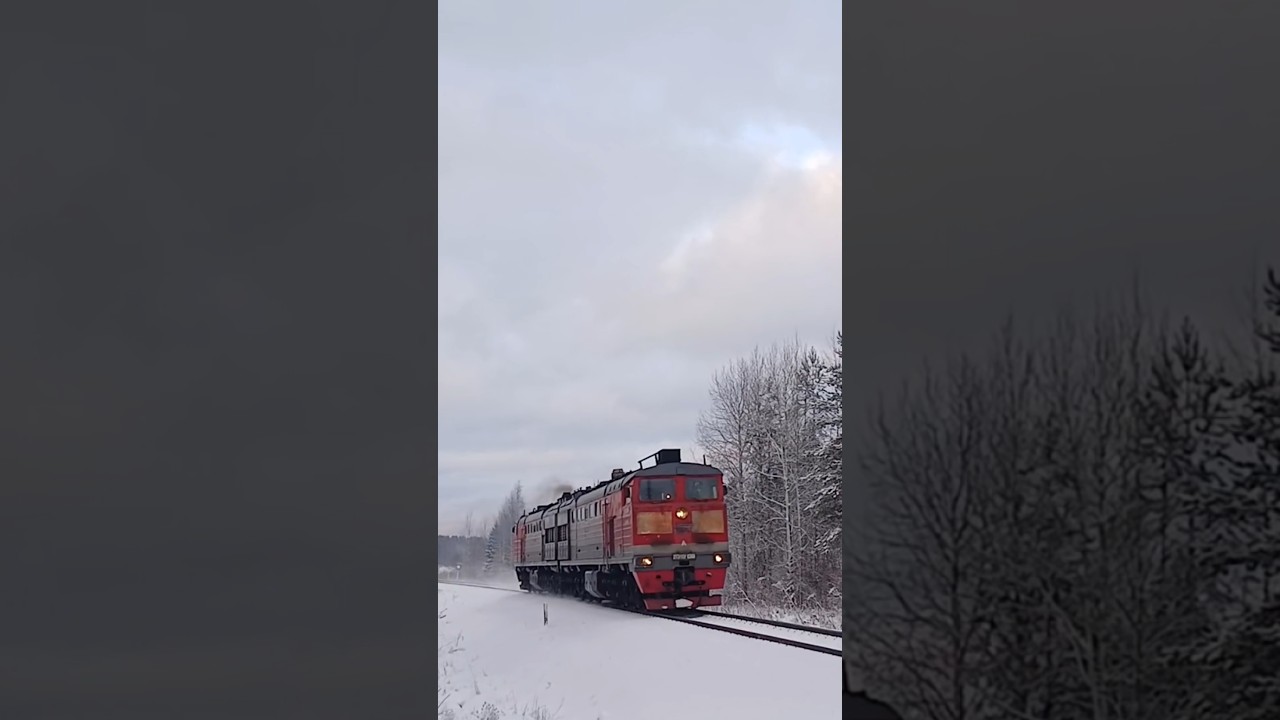 2ТЭ10Ук-0368 #рекомендации #train #поездавидео #поезд #railtrack #trainspotting #railwaycontent