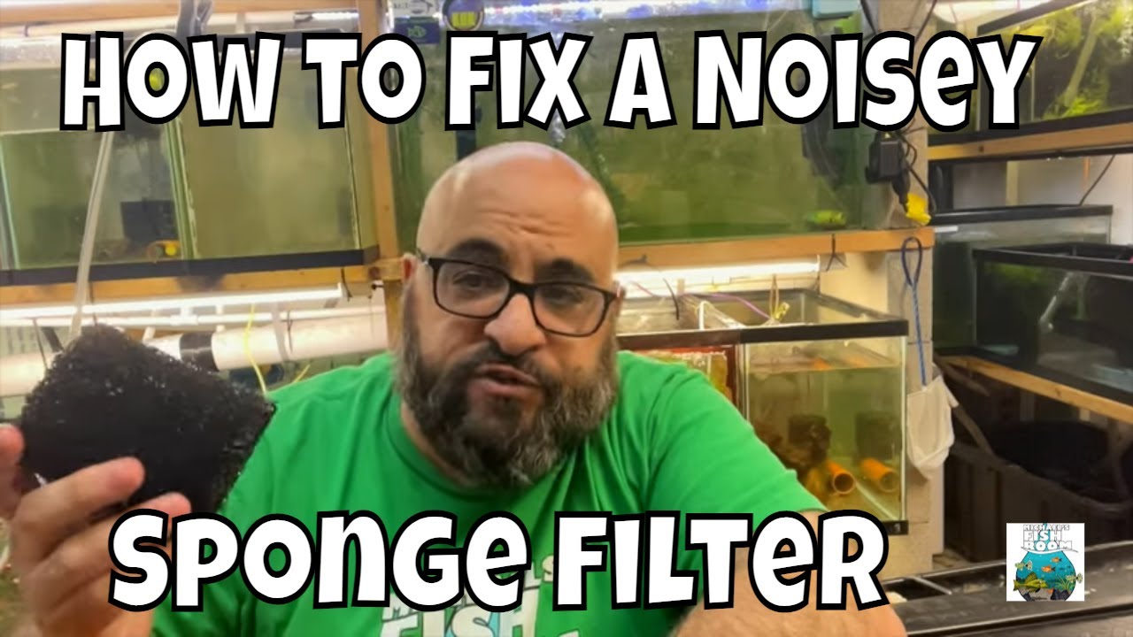 How to Fix a Noisy Sponge Filter