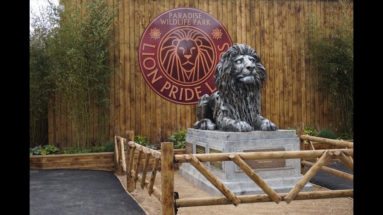 PARADISE WILDLIFE PARK 2019: NEW LION PRIDE LANDS
