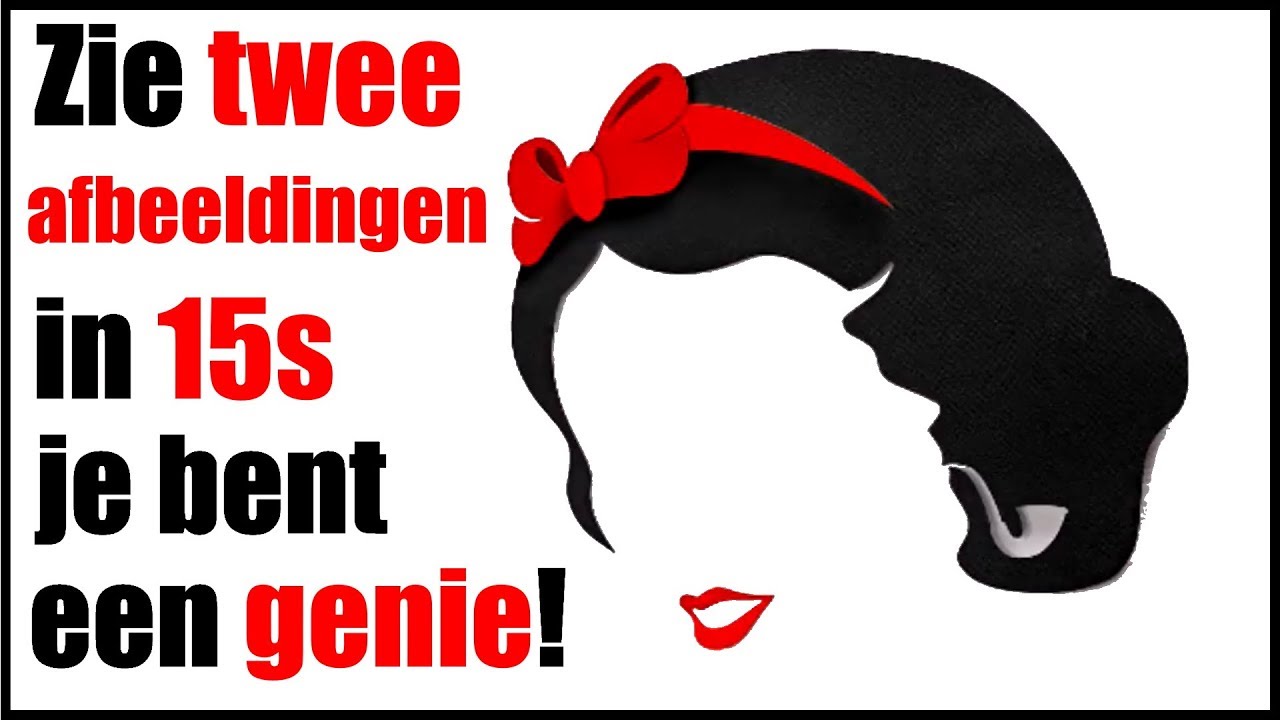 10 ILLUSIES OM JE HERSENEN TE TESTEN