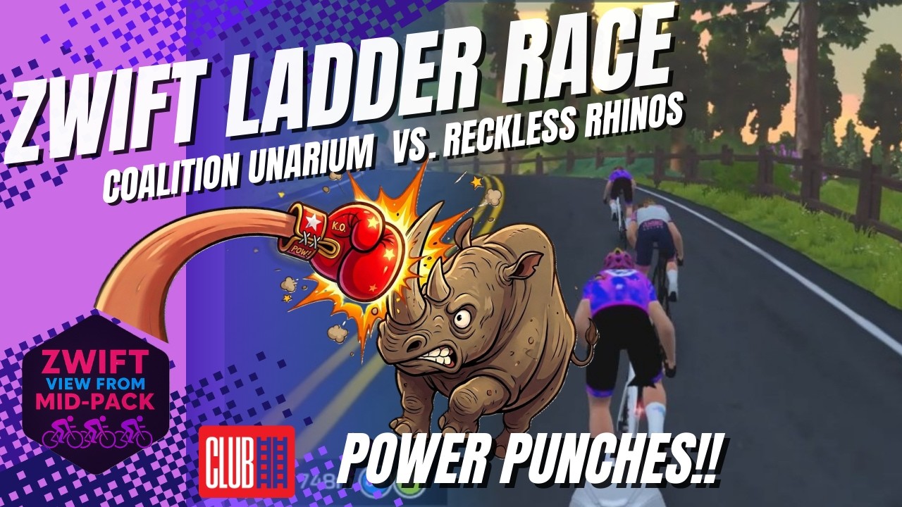 Zwift Ladder: Is Punching Rhinos a Good Idea? 🦏