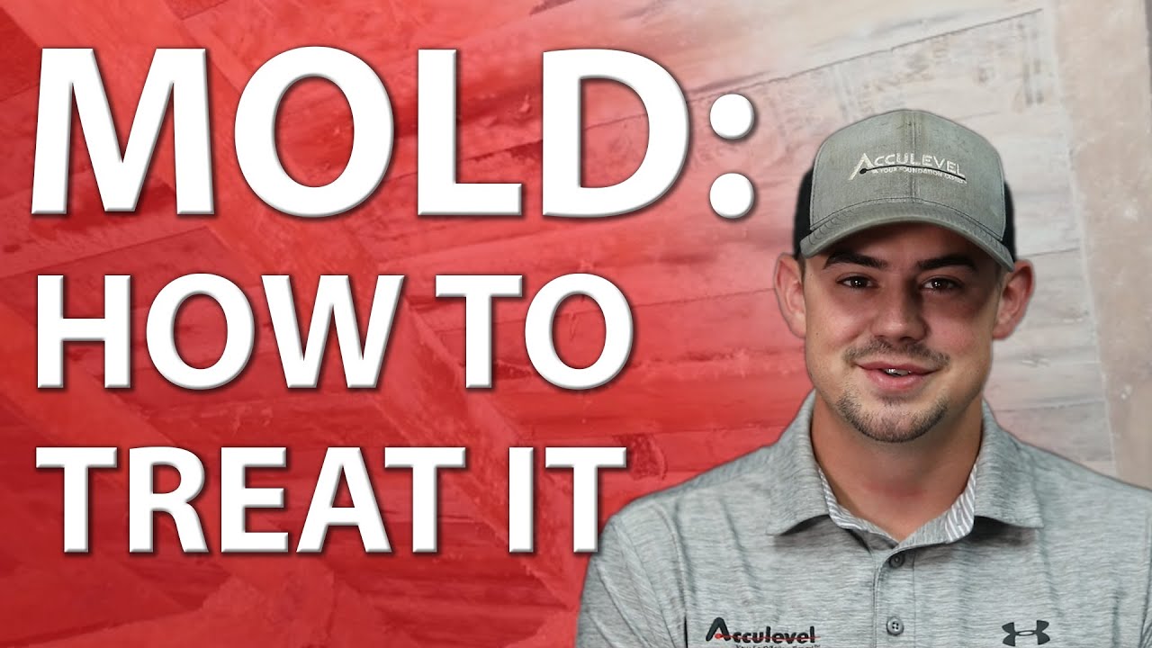 How to Treat Mold in Your Home