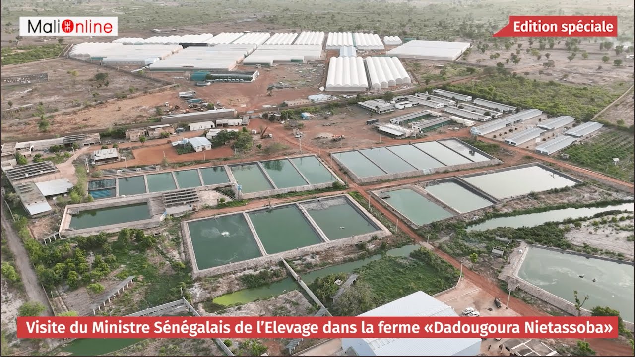 LES NOUVELLES AUTORITÉS DU SÉNÉGAL EN IMMERSION AU MALI EN MATIÈRE D'ÉLEVAGE ET PÊCHE