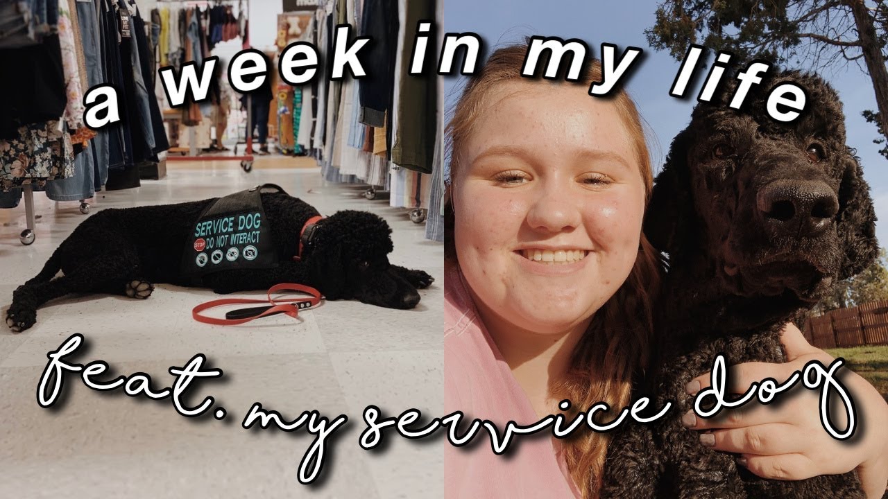 a week in my life (feat. my service dog)
