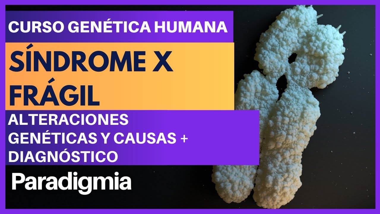 Síndrome X Frágil | Causas Genéticas y Síntomas (Fácil Explicación) | Curso de Genética #004