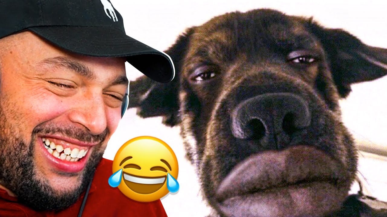 TRY NOT TO LAUGH CHALLENGE