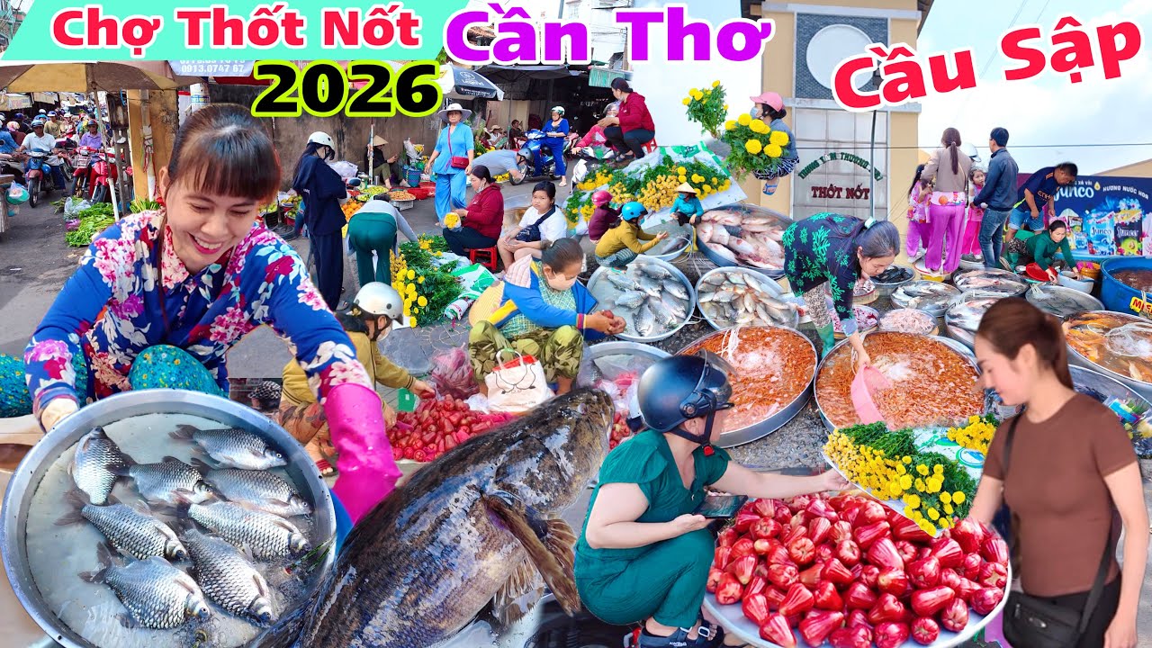 Chợ Thốt Nốt Cần Thơ 2026 Sau Tết mua bán quá xung nhiều cá đồng khủng xuất hiện cầu 30/4 sập