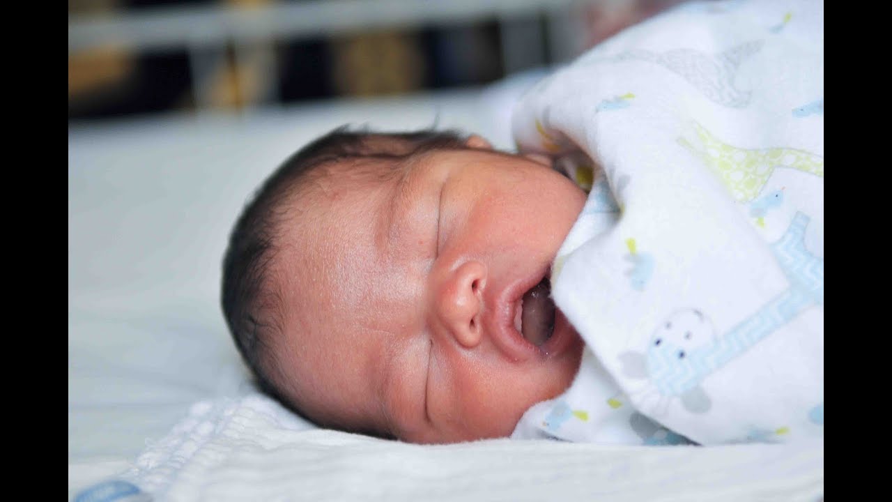 Newborn Baby Welcome to the Family Short Film Video
