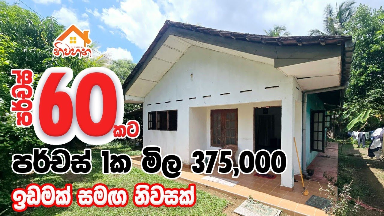 වටිනා ඉඩමක් සහ නිවසක් විකිණීමට | පොල් ගස් 32ක්