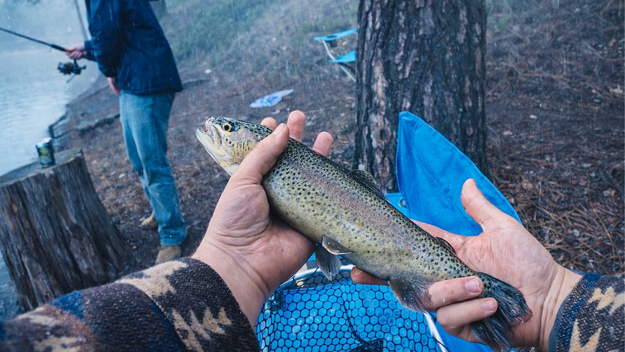 Absolutely Slaying Trout In A Beautiful Mountain Lake In The Rain