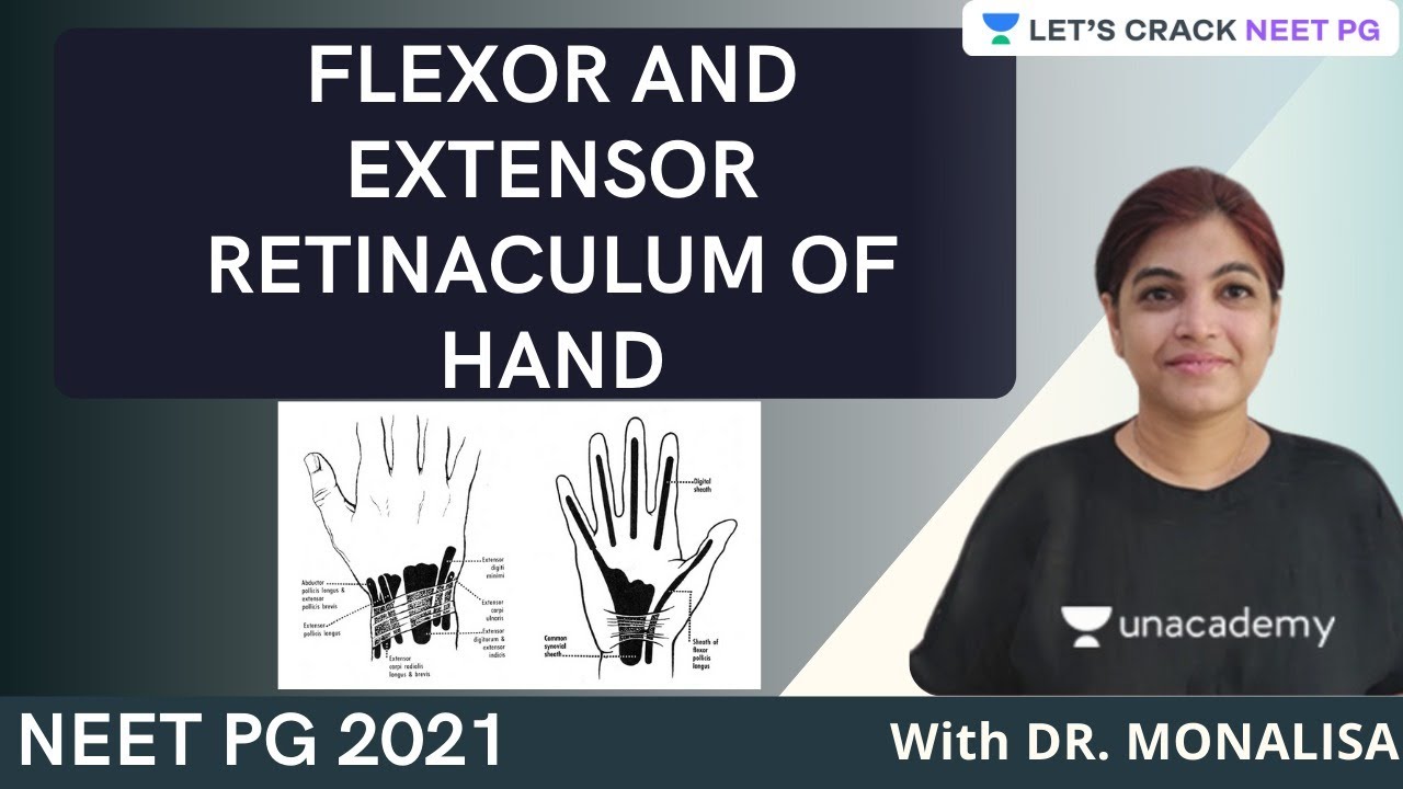 Flexor and Extensor Retinaculum of Hand | NEET PG 2021 | Dr. Monalisa