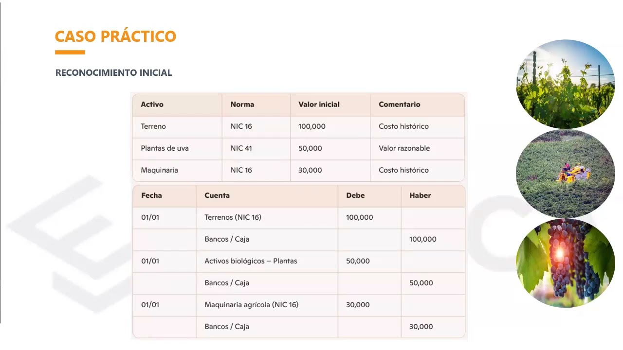 26 DIC CONTABILIDAD Y TRIBUTACIÓN SECTOR AGRÍCOLA Y GANADERO
