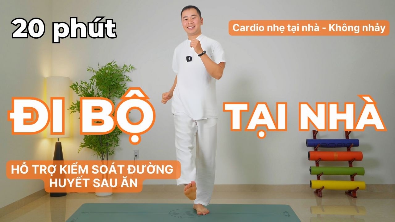Đi Bộ Trong Nhà 20 Phút Đốt Mỡ Hiệu Quả | Cardio Nhẹ Tại Nhà Không Nhảy | Hải Ninh Yoga