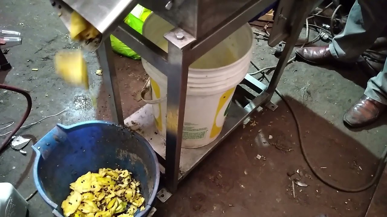 Despulpadora Maracuya 50 a 100 Kg Hora