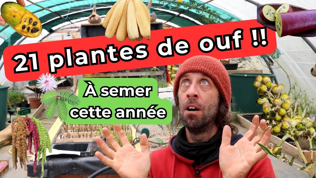 Mes 21 plantes préférées. À semer dès maintenant !
