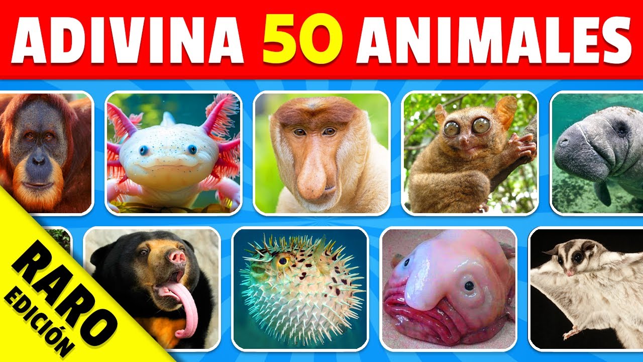 Adivina 50 Animales RAROS - Nivel IMPOSIBLE 🚨 ¿Cuántos Animales Reconoces? 🤨